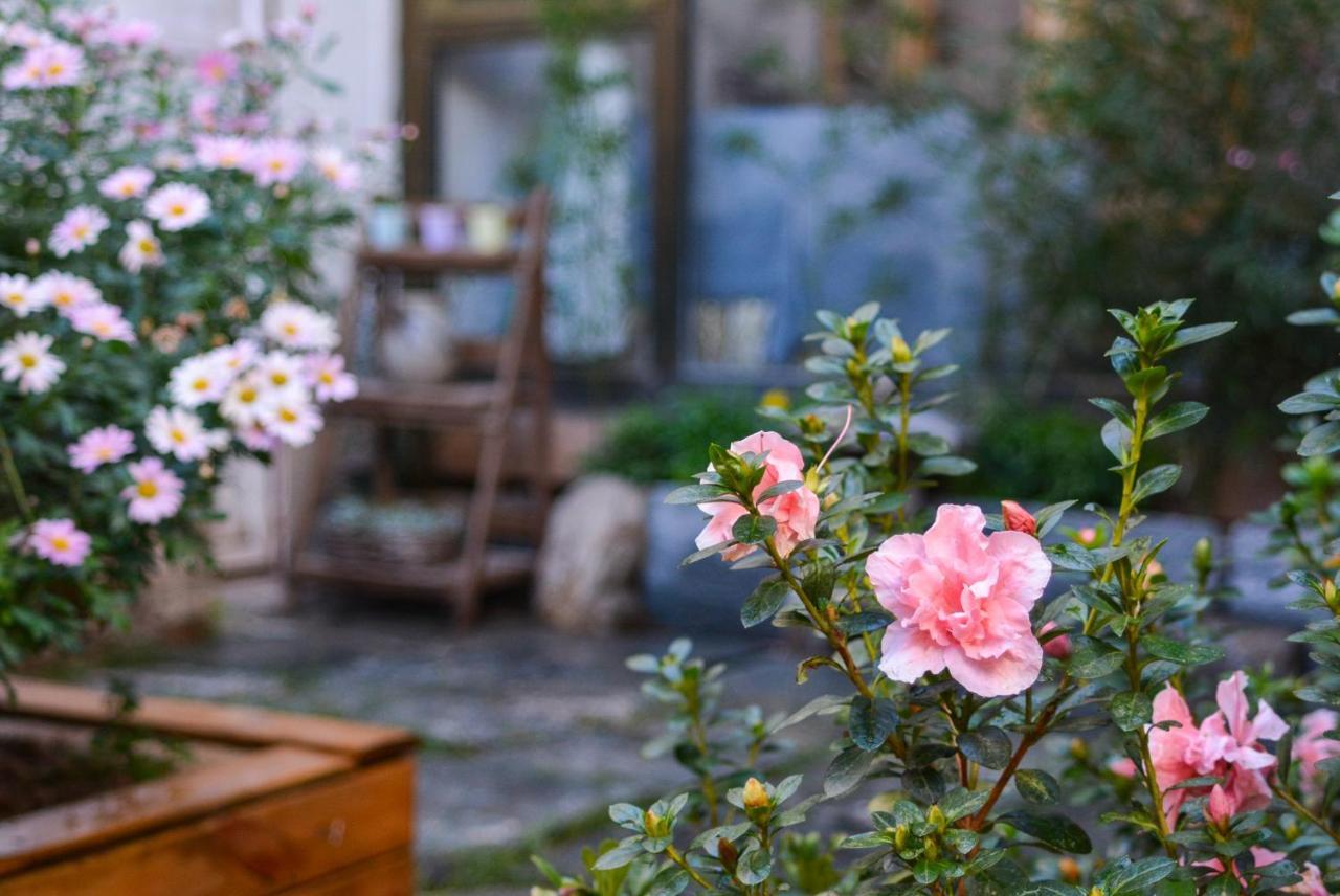 Dali Buxianshan Boutique Guesthouse-In Dali Ancient City,Near Three Pag Odas And Erhai Lake,Provide Tour Guide Service And Local Experience Exteriör bild